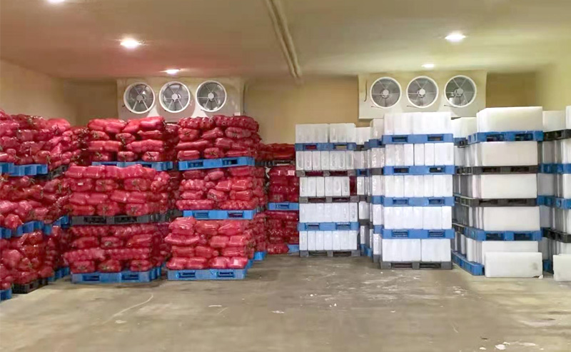 ice factory plant cost