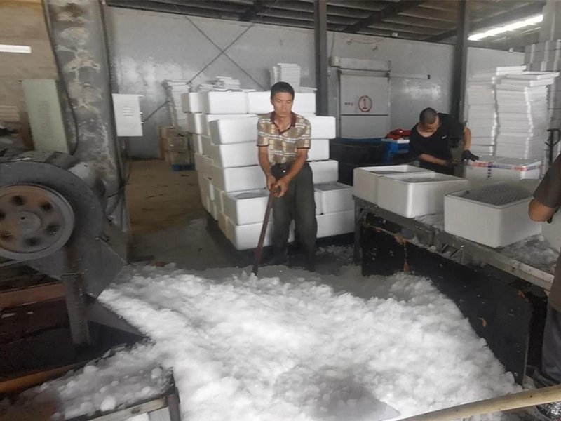 Maximize Efficiency and Preserve Freshness The Power of Block Ice Maker and Crushers in Aquatic