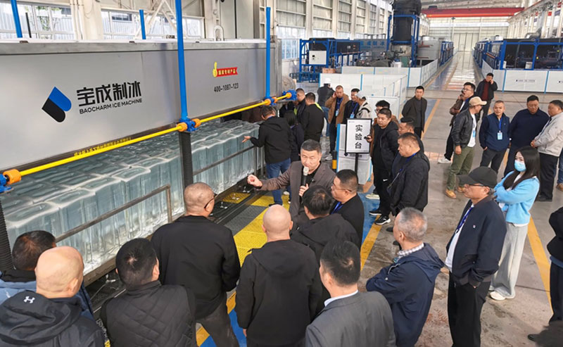 Crystal Clear Ice Block Machine Crystal Clear Ice Block Machine