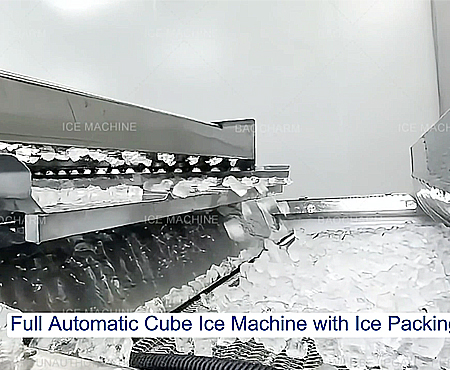 Fully Automatic Ice Cube Making Machine with Ice Packing Line