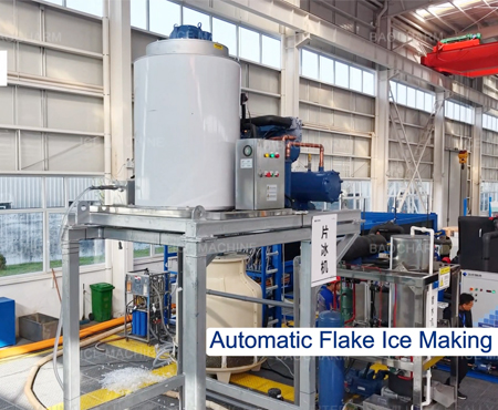 Customized Daily Production Capacity Flake Ice Machine